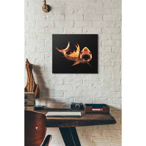 Image of 'White Shark' by Michael StewArt, Canvas Wall Art,12 x 16