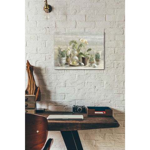 Image of 'Greenhouse Orchids on Wood' by Danhui Nai, Canvas Wall Art,12 x 16