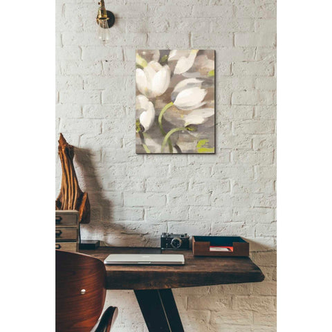 Image of 'Tulip Delight II' by Albena Hristova, Canvas Wall Art,12 x 16