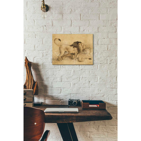 Image of 'Global Lions Light Crop' by Cheri Blum, Canvas Wall Art,12 x 16