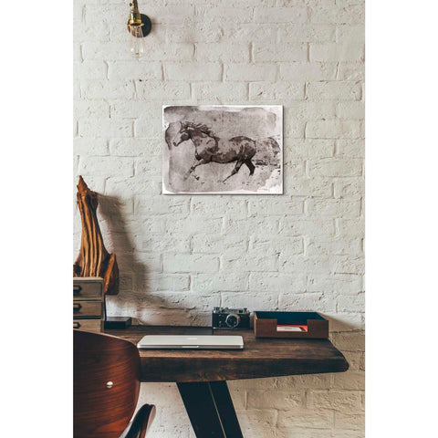 Image of 'Brown Horse Running' by Irena Orlov, Canvas Wall Art,16 x 12