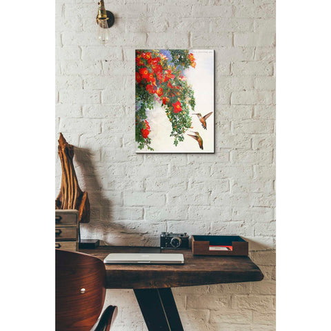 Image of 'Hanging Red Roses and Hummers' by Chris Vest, Giclee Canvas Wall Art
