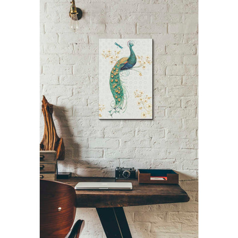 Image of 'Ornate Peacock IXA' by Daphne Brissonet, Canvas Wall Art,12 x 18