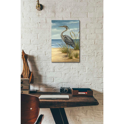Image of 'Shore Bird II' by Ethan Harper Canvas Wall Art,12 x 18