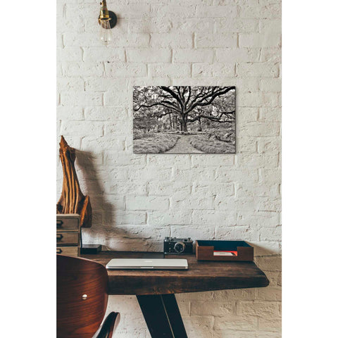 Image of 'Florida Tree' by PH Burchett Giclee Canvas Wall Art