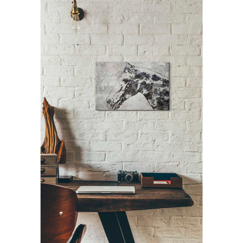 Image of 'Black Ghost Horse 2' by Irena Orlov, Canvas Wall Art,18 x 12