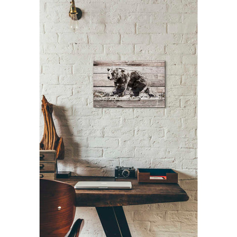 Image of 'Black Bear 1' by Irena Orlov, Canvas Wall Art,18 x 12