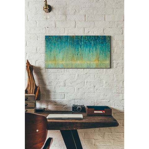 Image of 'Rain Abstract I Panel' by Danhui Nai, Canvas Wall Art,12 x 24
