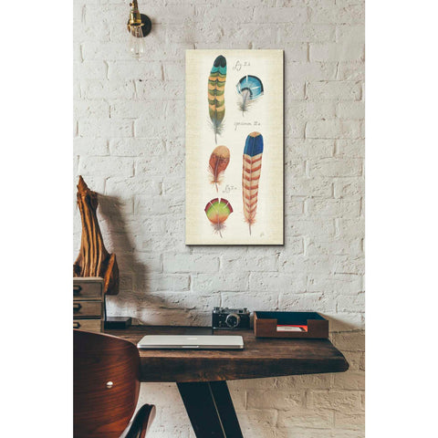 Image of 'Ornithology III Panel' by Daphne Brissonet, Canvas Wall Art,12 x 24