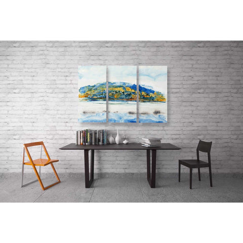 Image of 'Island Mist I' by Tim O'Toole Canvas Wall Art,12 x 24