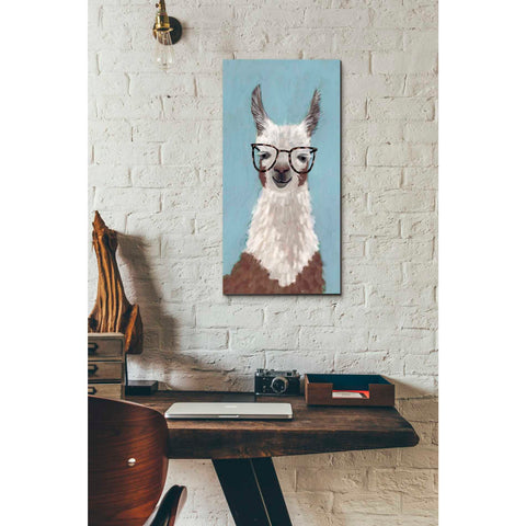 Image of 'Llama Specs I' by Victoria Borges Canvas Wall Art,12 x 24