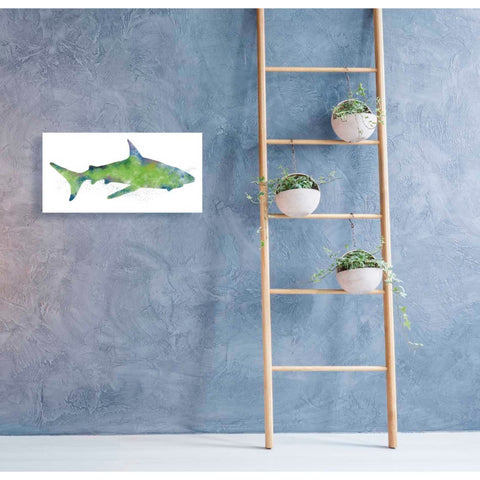 Image of 'Watercolor Shark II' by Linda Woods, Canvas Wall Art,24 x 12