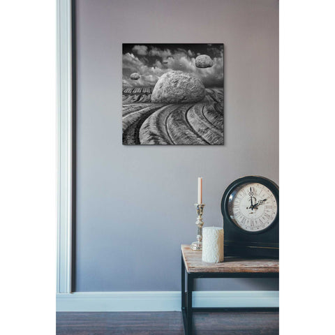 Image of 'Unharvested' by Dariusz Klimczak, Canvas Wall Art,18 x 18