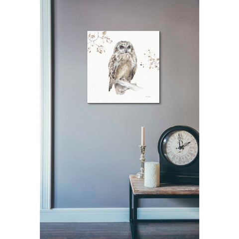 Image of 'Woodland Walk VIII' by Lisa Audit, Canvas Wall Art,,18 x 18