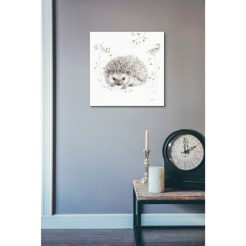 Image of 'Woodland Walk XII' by Lisa Audit, Canvas Wall Art,,18 x 18