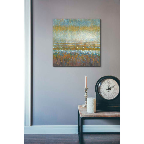 Image of 'Rains Over the Lake Light' by Danhui Nai, Canvas Wall Art,18 x 18