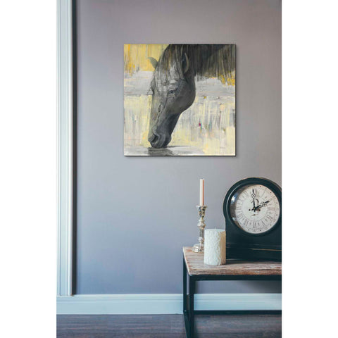 Image of 'Caleb' by Albena Hristova, Canvas Wall Art,18 x 18