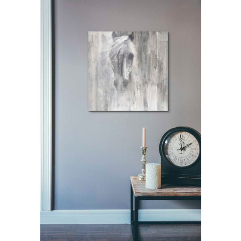 Image of 'Shadow Gray' by Albena Hristova, Canvas Wall Art,18 x 18