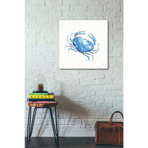 Image of 'Maritime X' by Daphne Brissonet, Canvas Wall Art,18 x 18