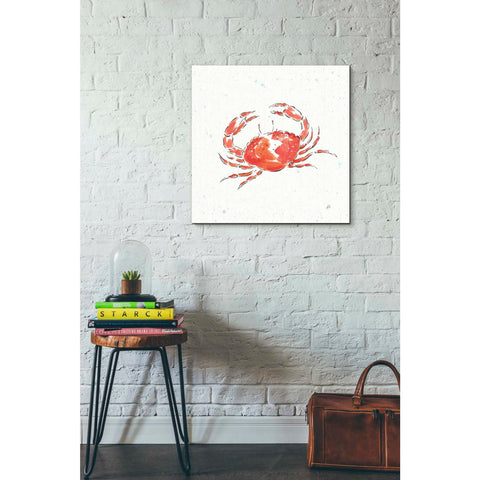 Image of 'Maritime XI' by Daphne Brissonet, Canvas Wall Art,18 x 18