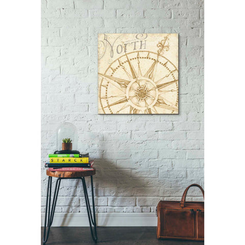 Image of 'Coast to Coast Sepia I' by Daphne Brissonet, Canvas Wall Art,18 x 18