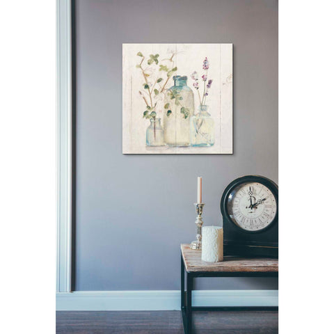 Image of 'Blossoms on Birch V' by Cheri Blum, Canvas Wall Art,18 x 18