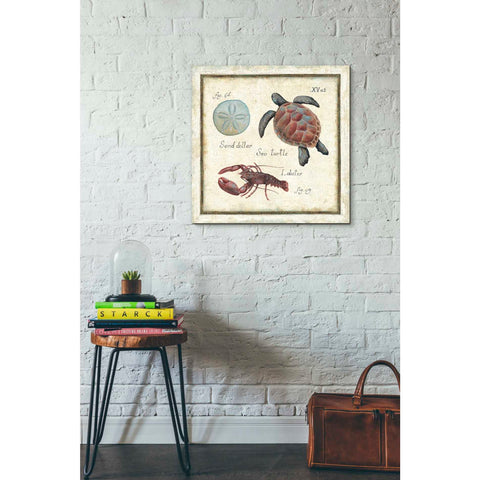 Image of 'Oceanography II' by Daphne Brissonet, Canvas Wall Art,18 x 18