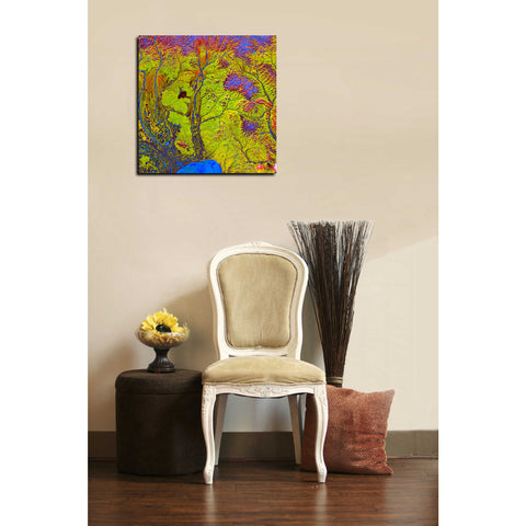 Image of 'Earth As Art: Siberian Ribbons' Canvas Wall Art,18 x 18