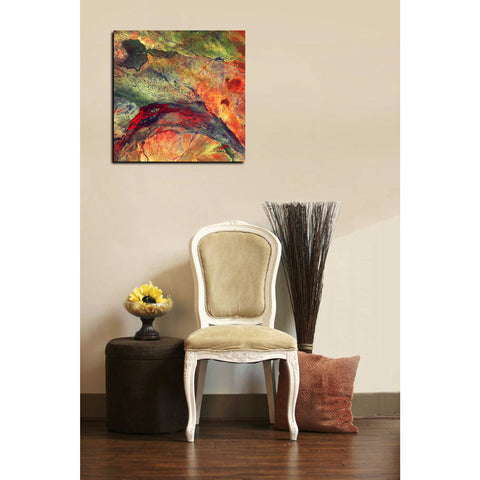Image of 'Earth As Art: The Lorian Swamp' Canvas Wall Art,18 x 18