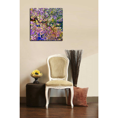 Image of 'Earth As Art: Tessera Mosaic' Canvas Wall Art,18 x 18