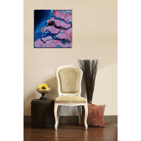 Image of 'Earth As Art: Delta Region' Canvas Wall Art,18 x 18