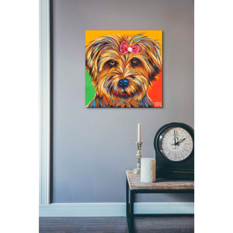 Image of 'Sweet Yorkie I' by Carolee Vitaletti Giclee Canvas Wall Art