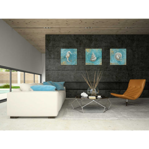 Image of 'Treasures From The Sea II' by Danhui Nai, Canvas Wall Art,18 x 18