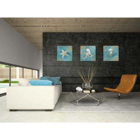 Image of 'Treasures From The Sea VI' by Danhui Nai, Canvas Wall Art,18 x 18