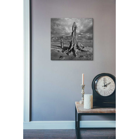 Image of "Archetype" by Dariusz Klimczak, Giclee Canvas Wall Art