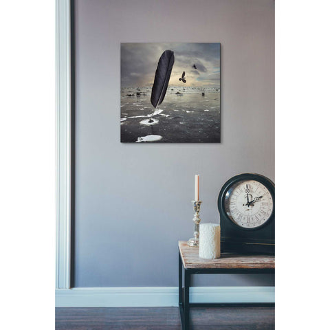 Image of 'Featherland' by Dariusz Klimczak, Canvas Wall Art,18 x 18