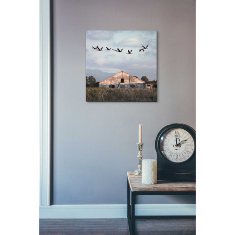 Image of 'Oktet' by Dariusz Klimczak, Canvas Wall Art,18 x 18