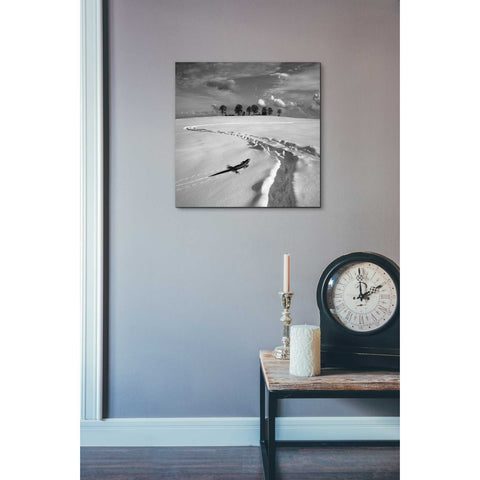 Image of 'Snowy Lizard' by Dariusz Klimczak, Canvas Wall Art,18 x 18