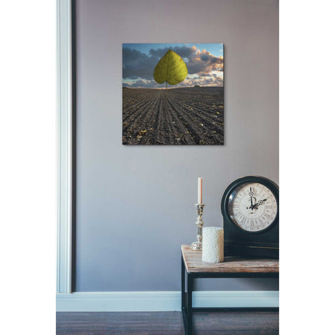 Image of 'Listen to Listek' by Dariusz Klimczak, Canvas Wall Art,18 x 18