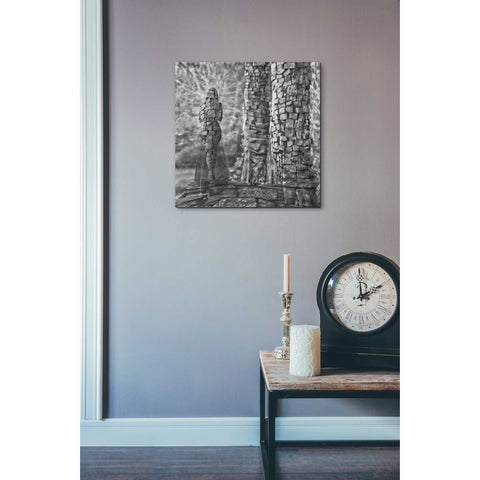 Image of 'Mandalana' by Dariusz Klimczak, Canvas Wall Art,18 x 18