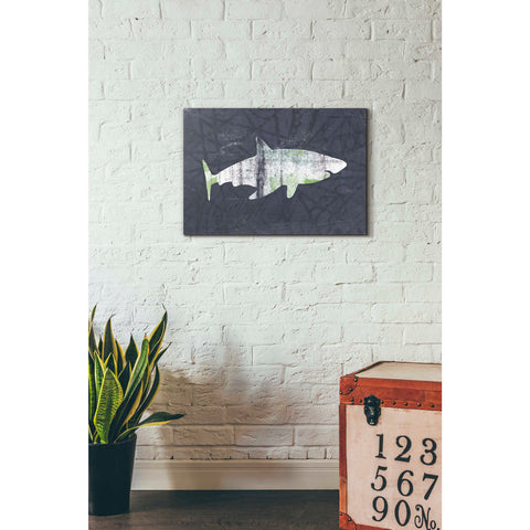 Image of 'Shark I' by Linda Woods, Canvas Wall Art,18 x 26
