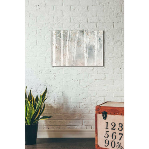 Image of 'Woodland Walk I' by Lisa Audit, Canvas Wall Art,,18 x 26