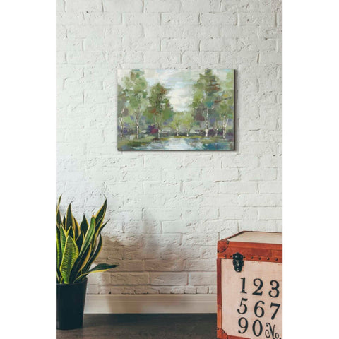 Image of 'Forest At Dawn' by Silvia Vassileva, Canvas Wall Art,18 x 26