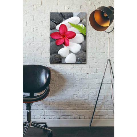 Image of 'Wabi-Sabi I' Canvas Wall Art,18 x 26