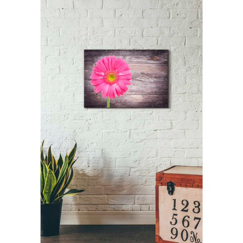 Image of 'Friendship' Canvas Wall Art,18 x 26