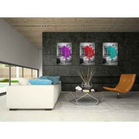 Image of 'Passion' Canvas Wall Art,18 x 26