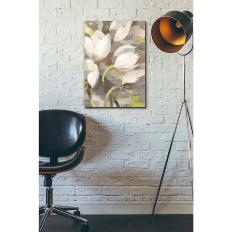 Image of 'Tulip Delight II' by Albena Hristova, Canvas Wall Art,18 x 26