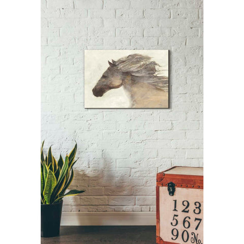 Image of 'Into the Wind Ivory Crop' by Albena Hristova, Canvas Wall Art,26 x 18