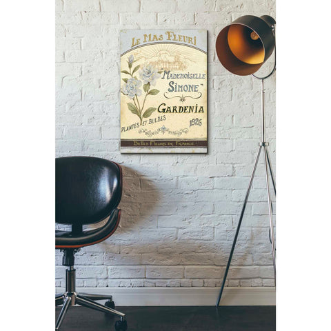 Image of 'French Seed Packet IV' by Daphne Brissonet, Canvas Wall Art,18 x 26