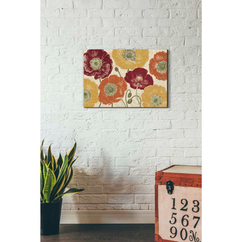 Image of 'A Poppys Touch I Spice' by Daphne Brissonet, Canvas Wall Art,18 x 26
